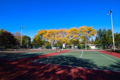 IMG_0124-copy-2