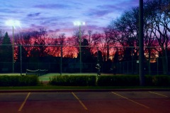 IMG_0617-copy