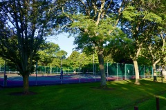 IMG_5392-copy-2