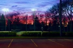 IMG_0617-copy